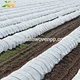  Tissu non tissé en polypropylène 